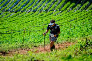 BIB: 1200
                            <button type="button" onclick="openModal(19163251)" class="btn btn-primary btn-sm float-right btn-popup" data-toggle="modal" data-target=".modal-high-quality">
                        <i class="fas fa-shopping-cart"></i> Add to Cart
                    </button>
                                            <button type="button" onclick="isThisMe(19163251, true)" class="btn btn-success btn-sm float-right btn-popup btn-isme hidden" data-toggle="tooltip" data-placement="bottom" title="นี่คือรูปของคุณใช่ไหม คลิกที่นี่เพื่อเอาเข้าอัลบั้ม">
                        <i class="fas fa-plus"></i> Add to album
                    </button>
                    <button type="button" onclick="isThisMe(19163251, false)" class="btn btn-warning btn-sm float-right btn-popup btn-isnotme hidden">
                        <i class="fas fa-ban"></i> Remove from album
                    </button>